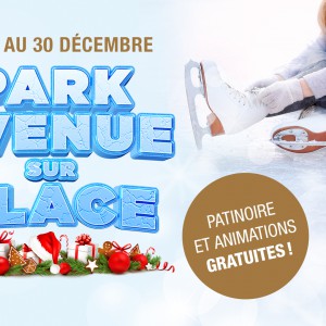 Park Avenue sur glace