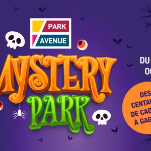 Mystery Park