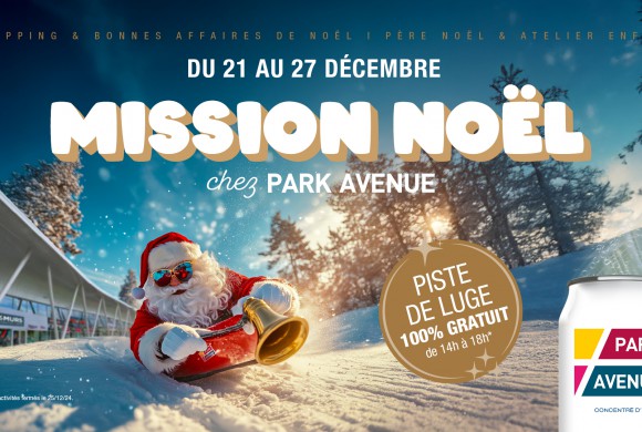 Mission Noël à Park Avenue